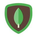 MongoDB